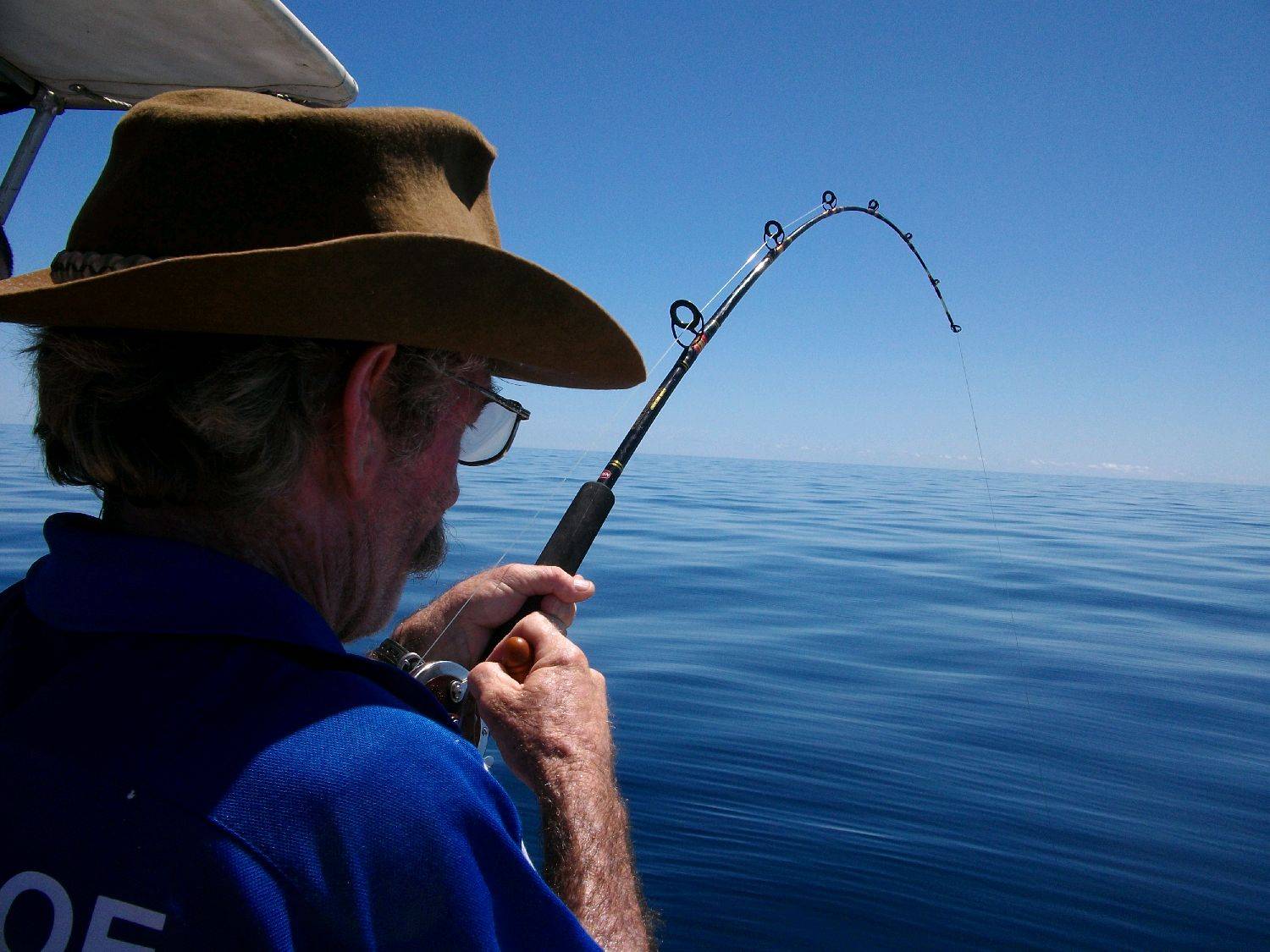 the great wonders of the ocean