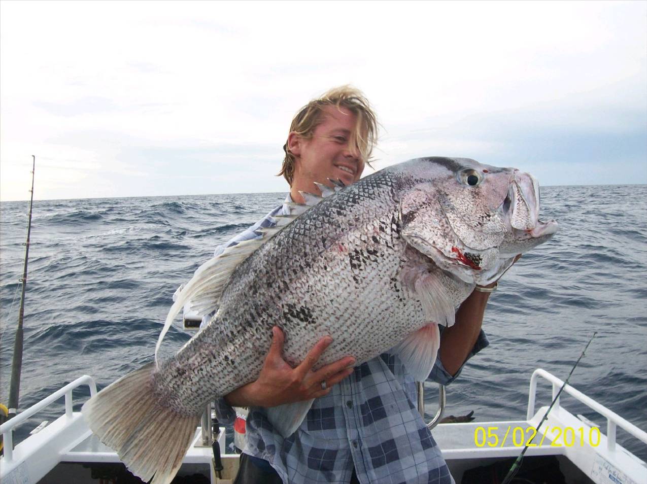 nice dhuie off bunno