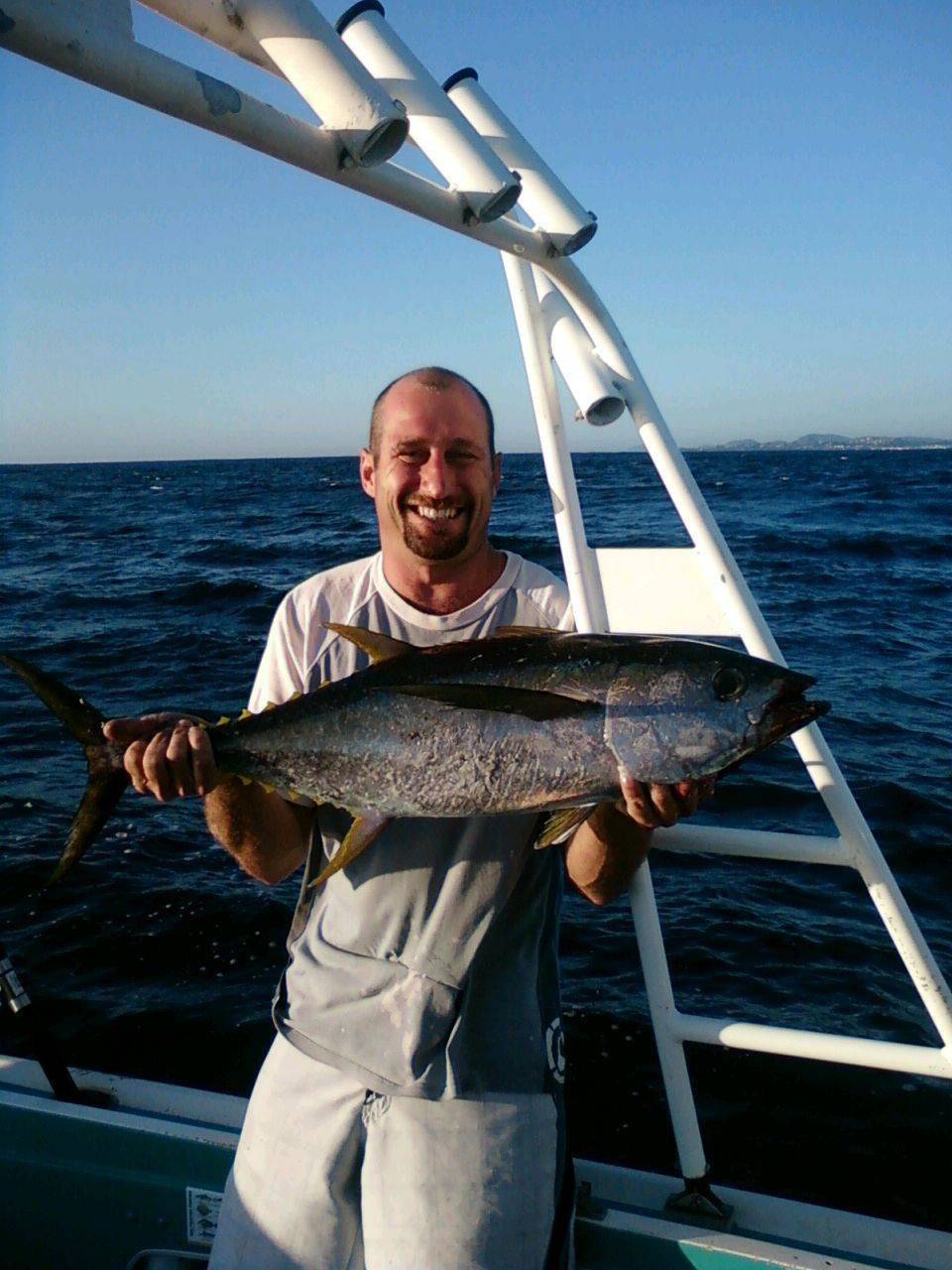 nice yellowfin