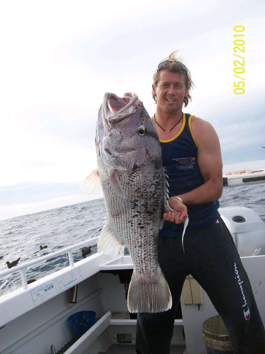 more nice dhuies off bunno