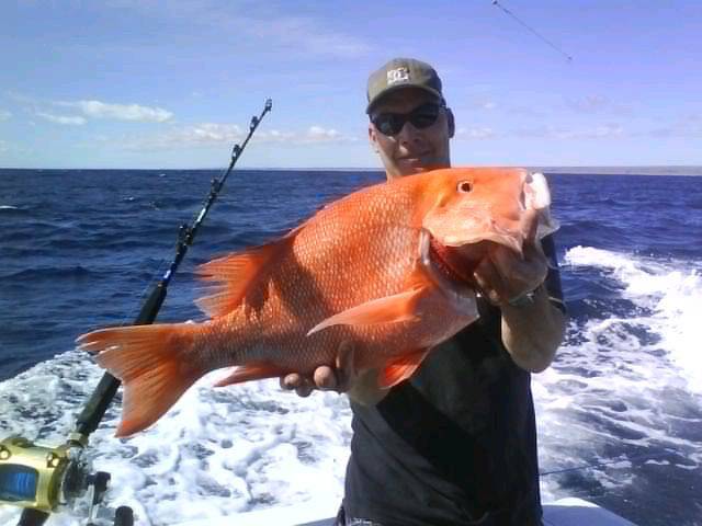 southern sports and tackle r&d