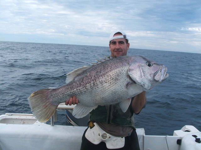 go to wafishaman.com to see more