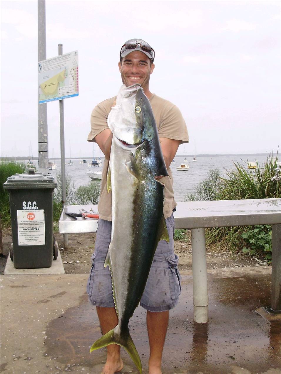 16 kg kingfish from jervis bay