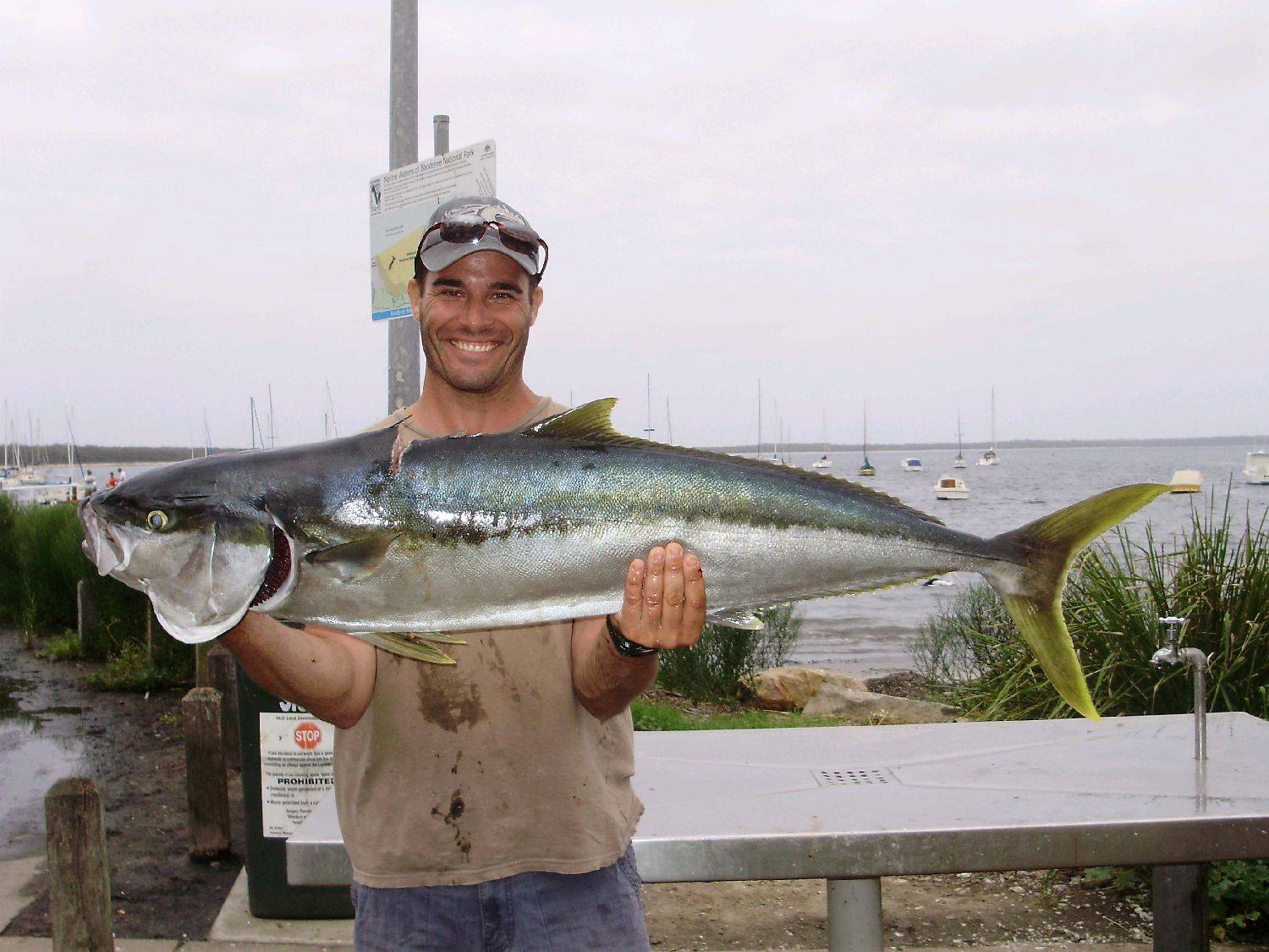 16 kg kingfish from jervis bay