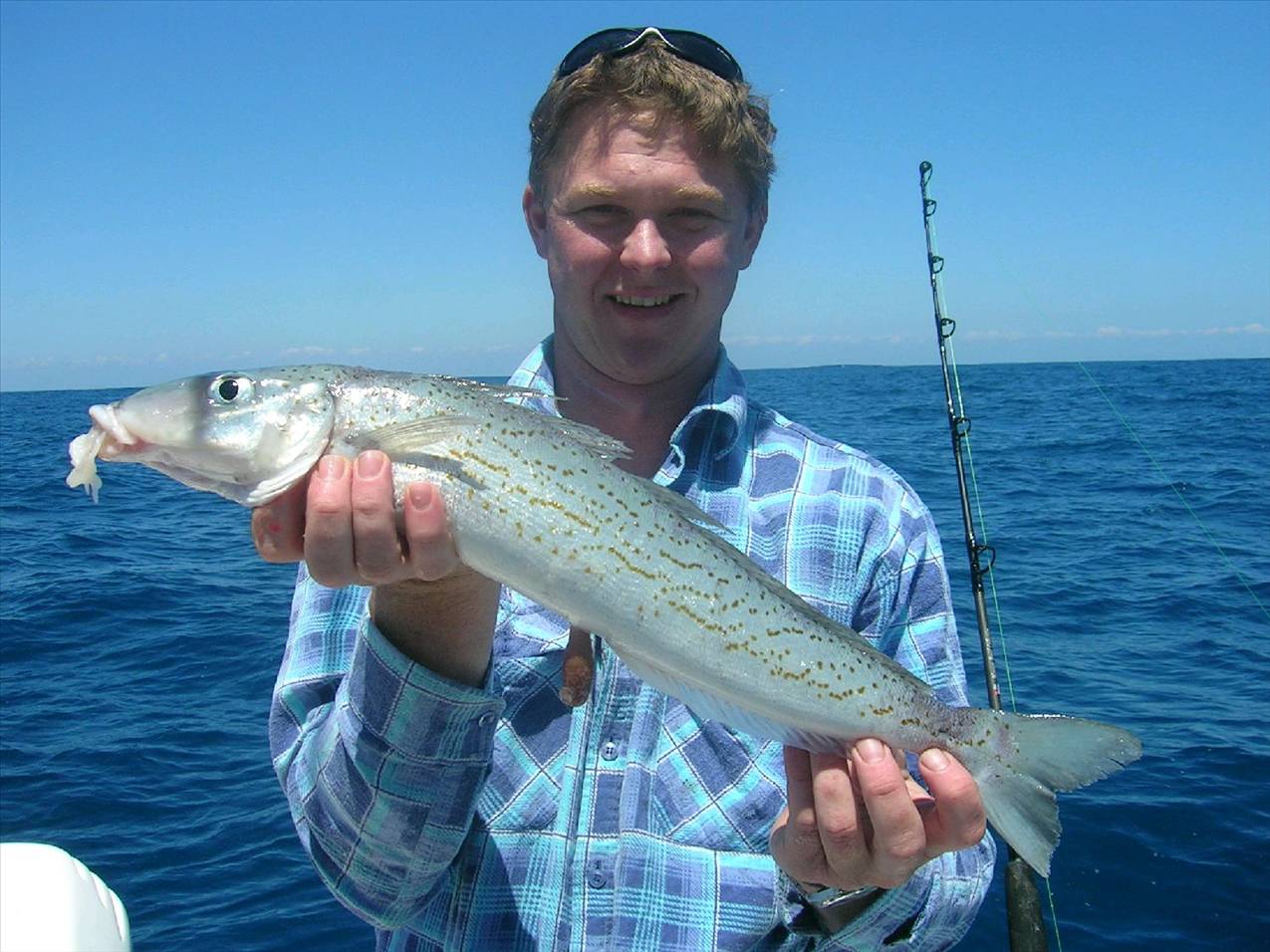 deepsea king george whiting