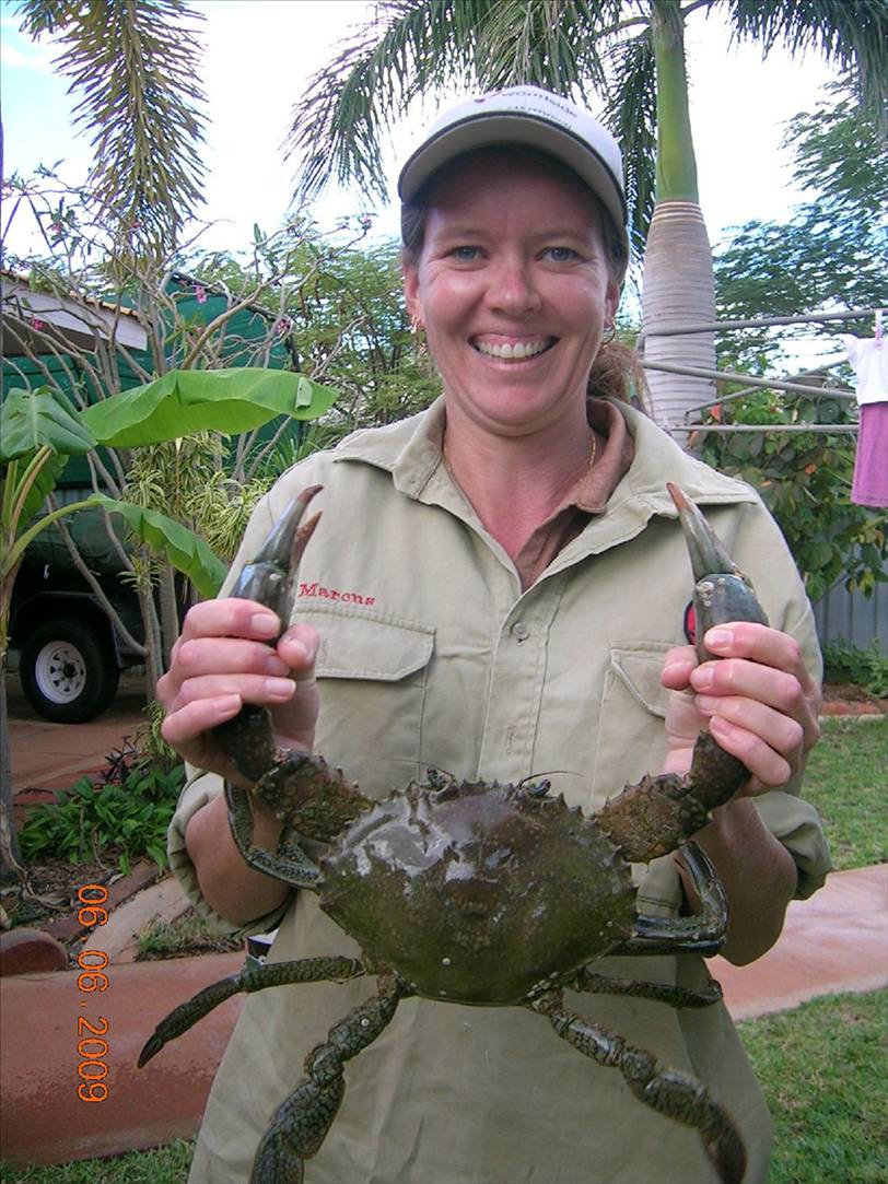 This didn't come from the collie river