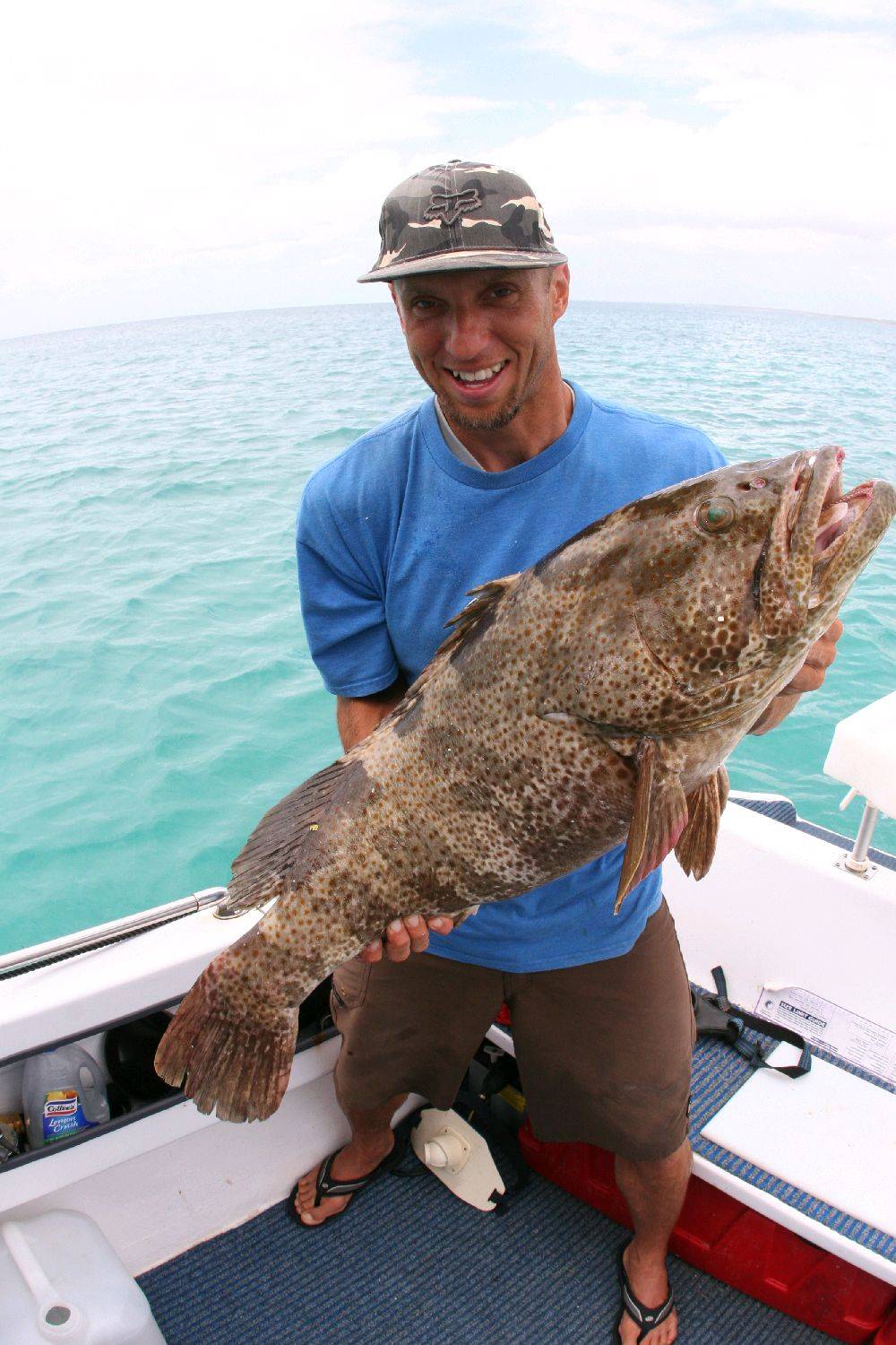 10-06-7 shark bay 415