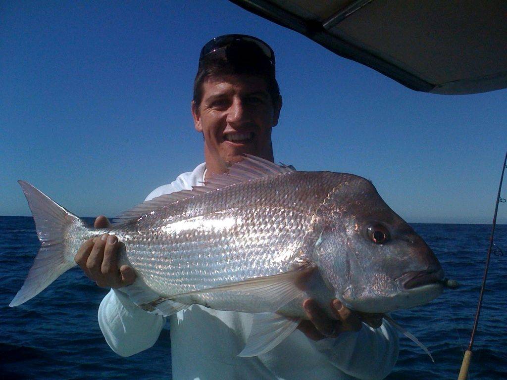 Bit of this, bit of that