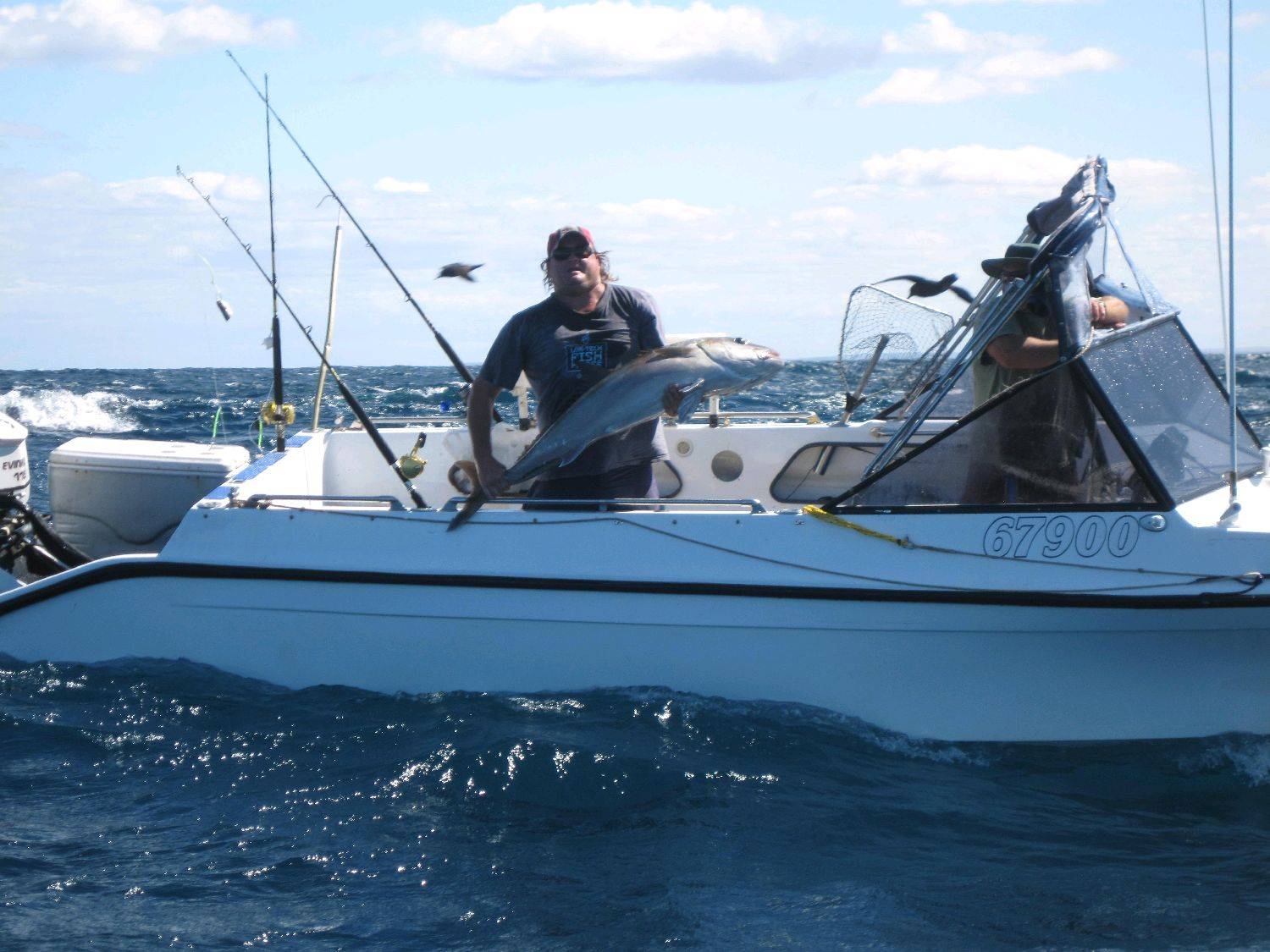 more sambos released of course