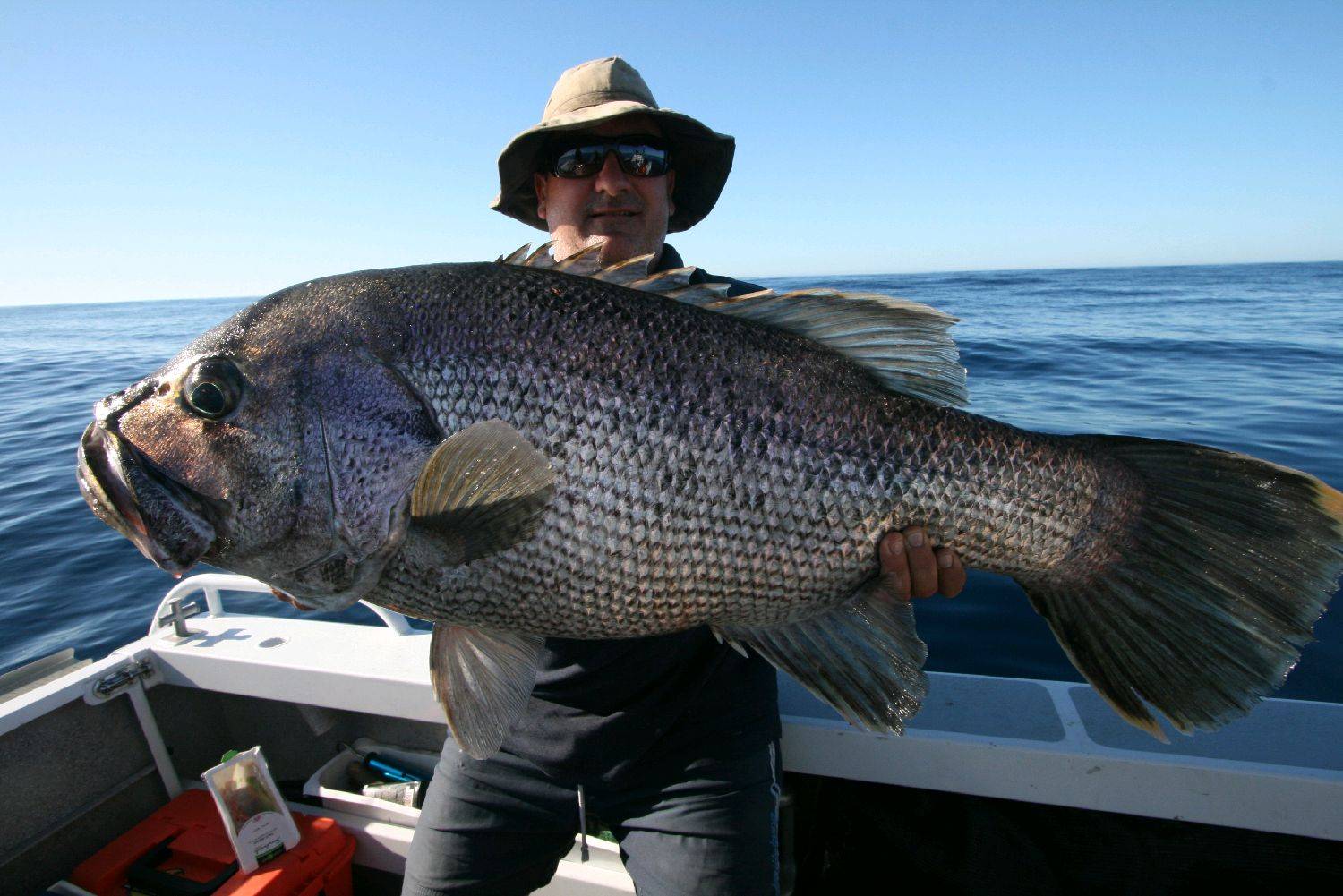 16 kg dhuie glassed off