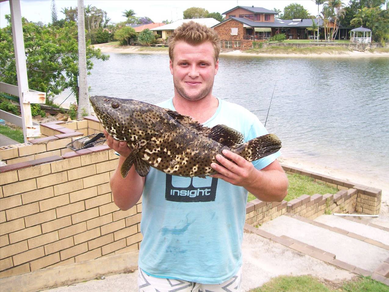 6kg cod caught a live prawn