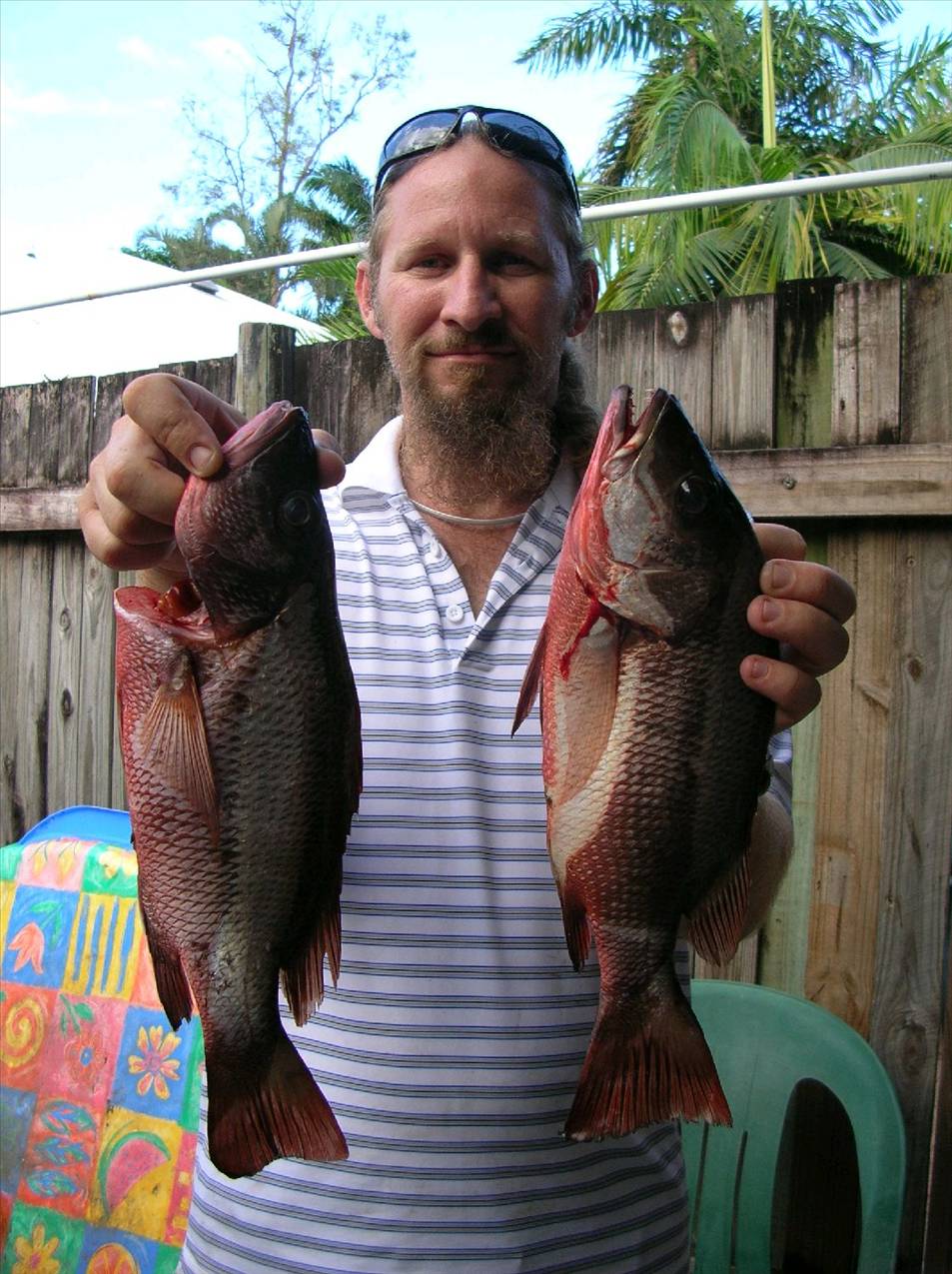 48cm and 46cm jacks from the groves