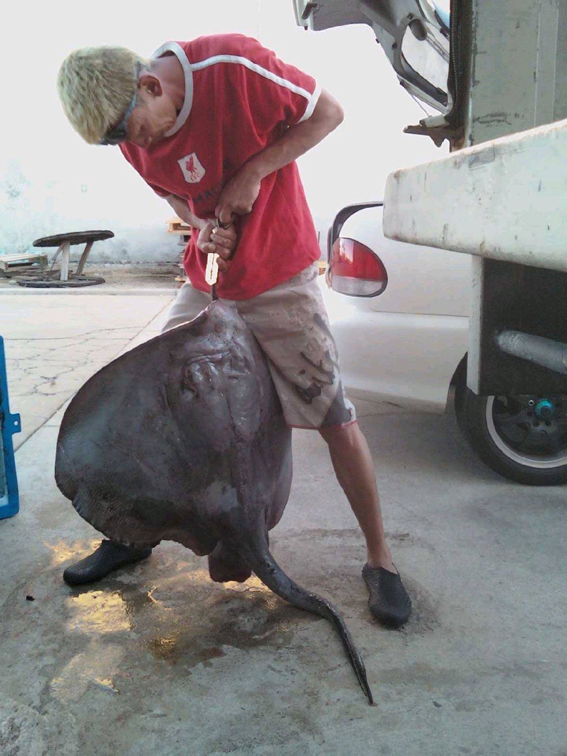 20KG OF RAW....POWER!!!