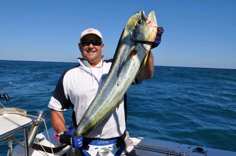 What do i have here?