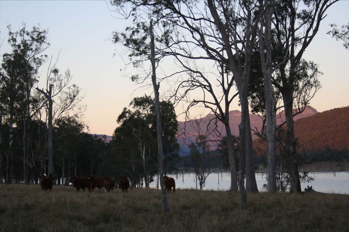 start to a great day