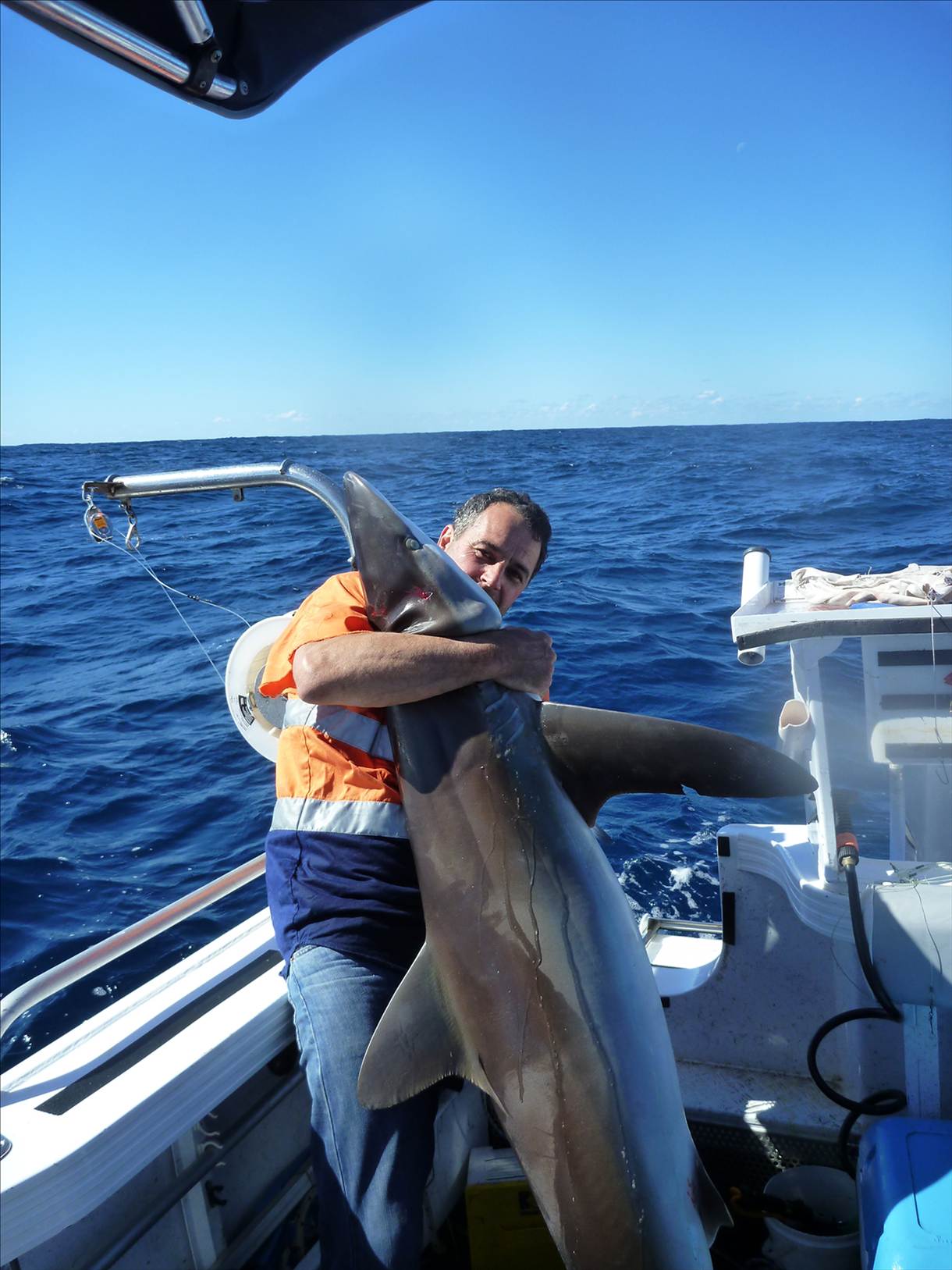 tomkattoo fishing 8ft 70 kgs