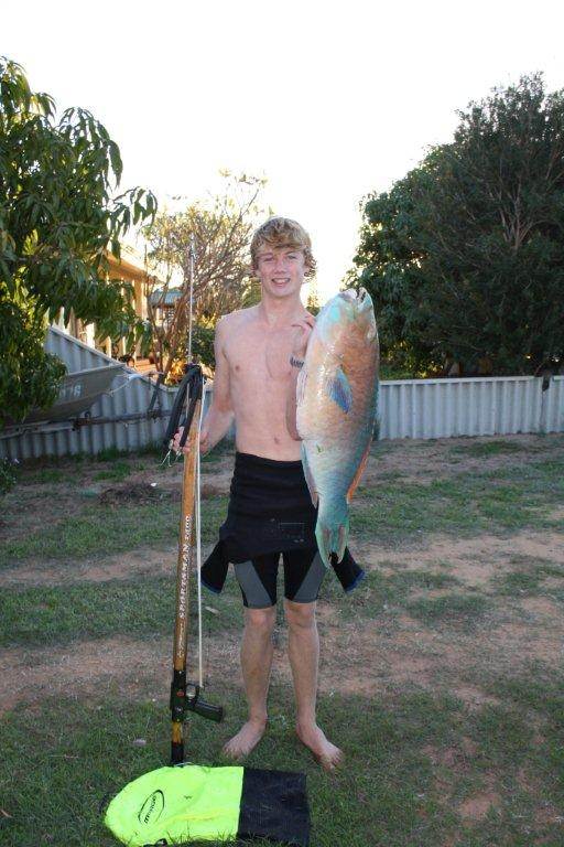 9kg parrot fish