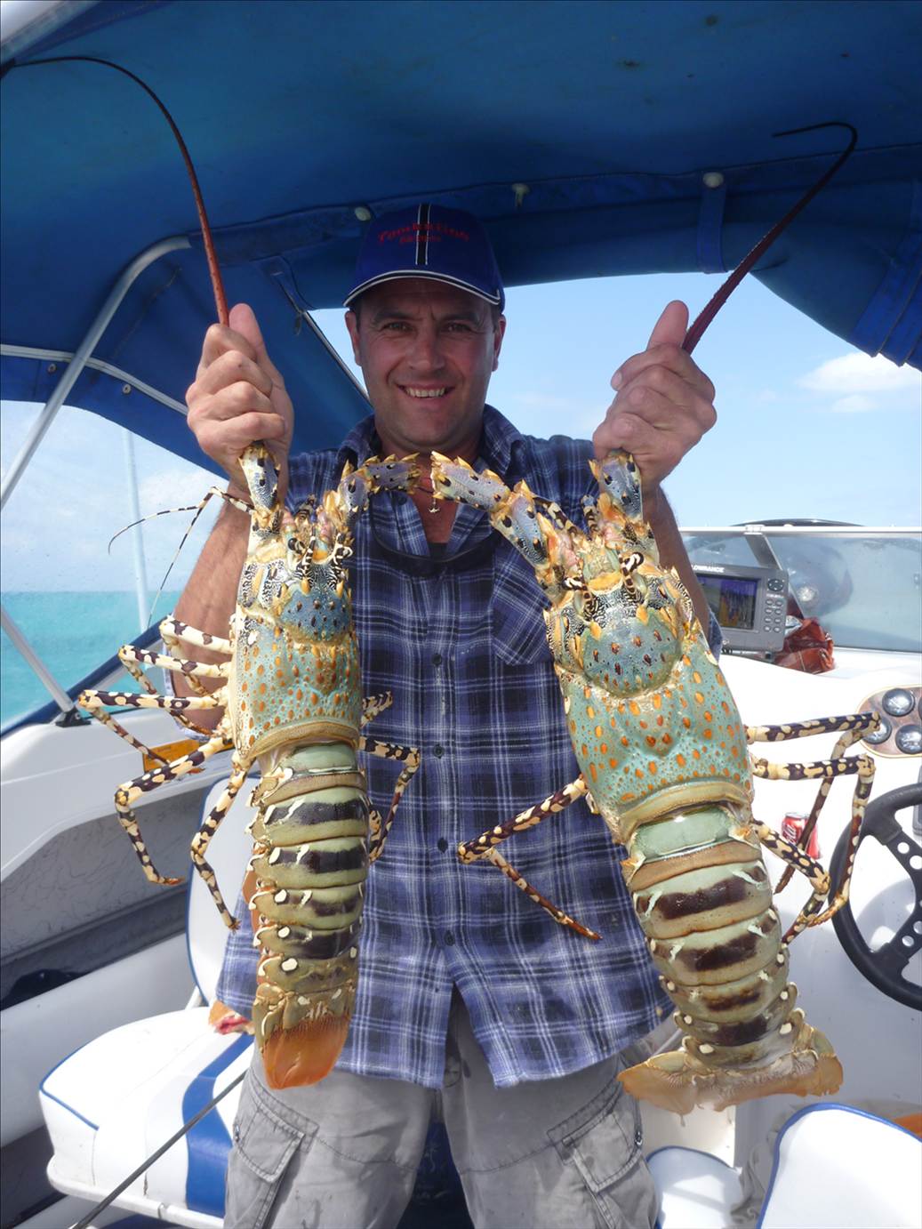 cooktown crays