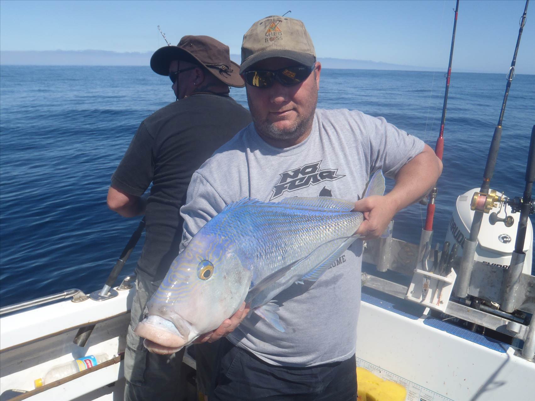 mako stalked the boat