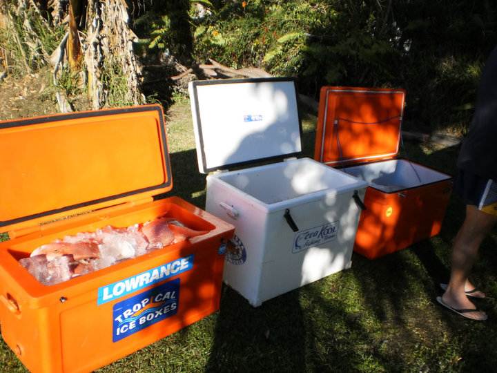 58418 156366191047711 100000229948570 412862 1526875 n