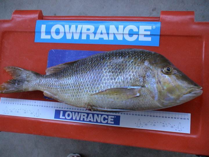 61284 156366931047637 100000229948570 412880 5083663 n