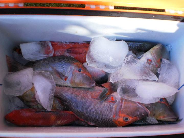 62218 156366301047700 100000229948570 412863 1843266 n