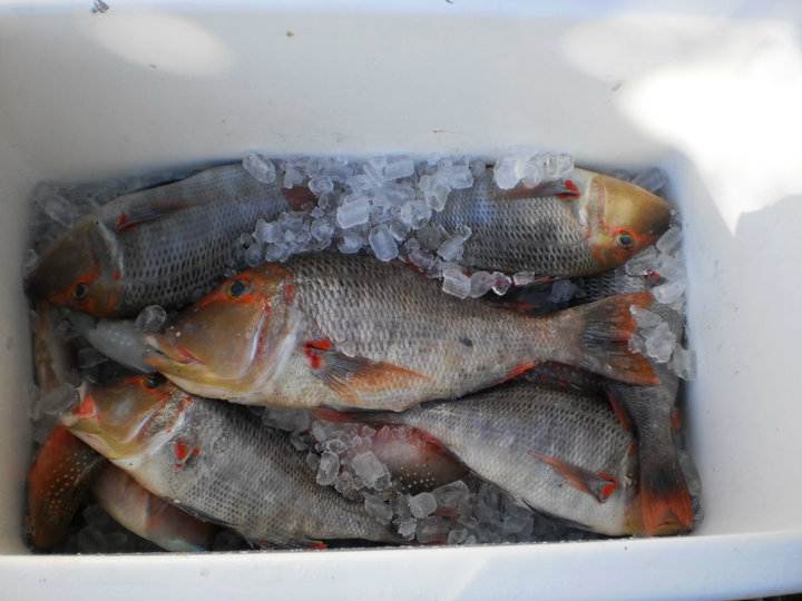 62218 156366304381033 100000229948570 412864 2338584 n