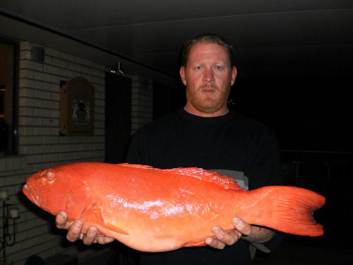 62548 156366024381061 100000229948570 412860 5570526 n