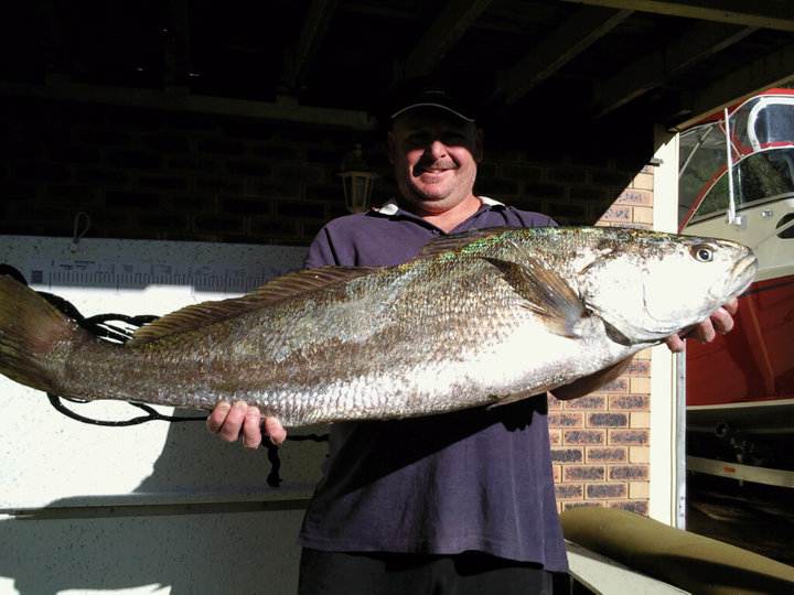 62915 156726387678358 100000229948570 414312 2244172 n