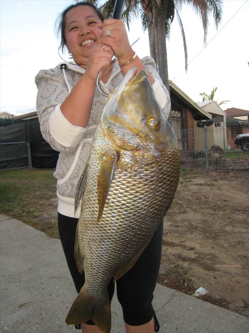 PB 7.4kg DIRTYHOOKER