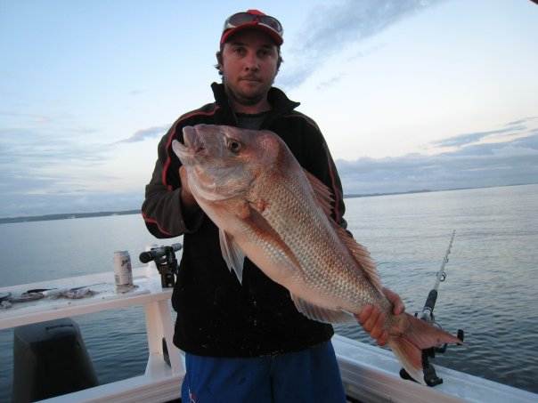 Brent's arvo snapper AMM