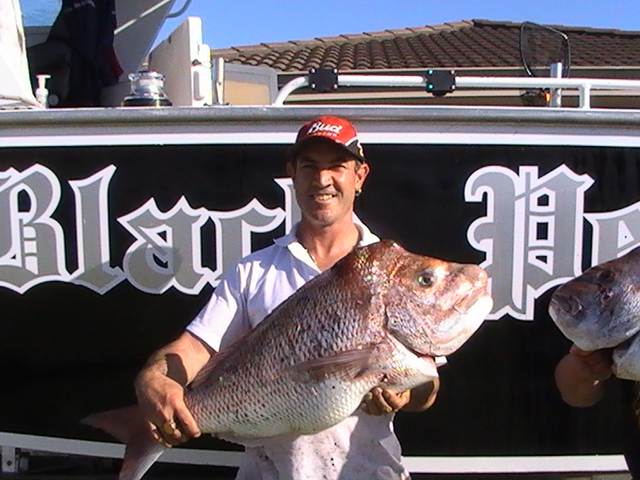 BLACKPEARL SNAPPER
