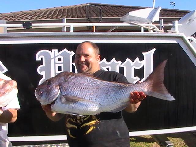 BLACKPEARL SNAPPER