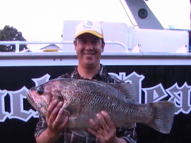 BLACKPEARL LONELY DHUIE (1)