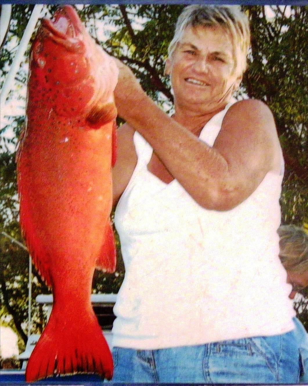 Lesley's Coral Trout