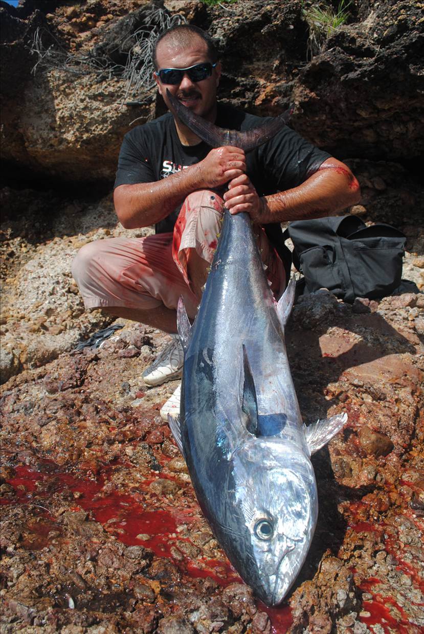 19kg bluefin
