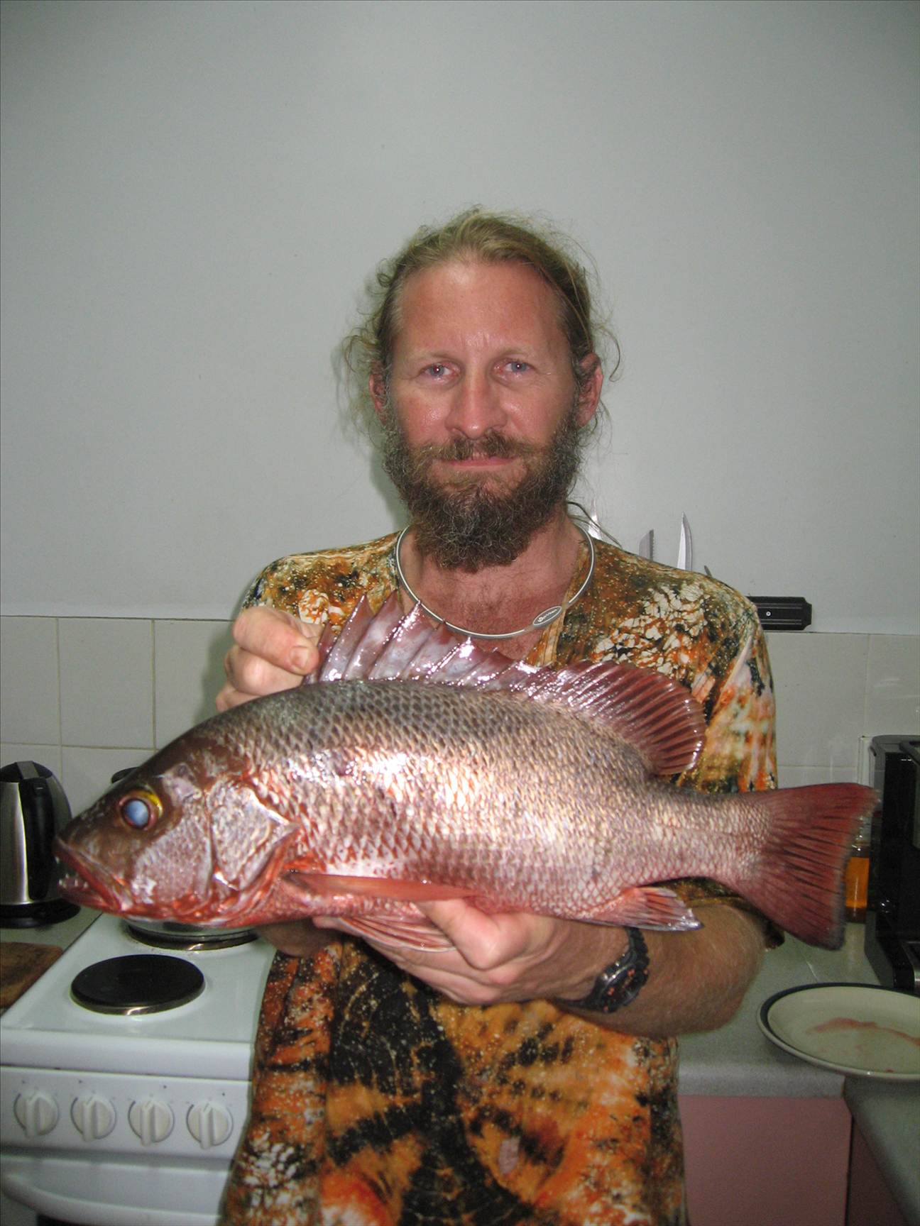 I'd hate to be a mullet!