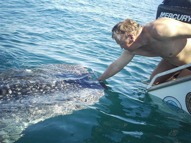 Soppy's mate came to visit