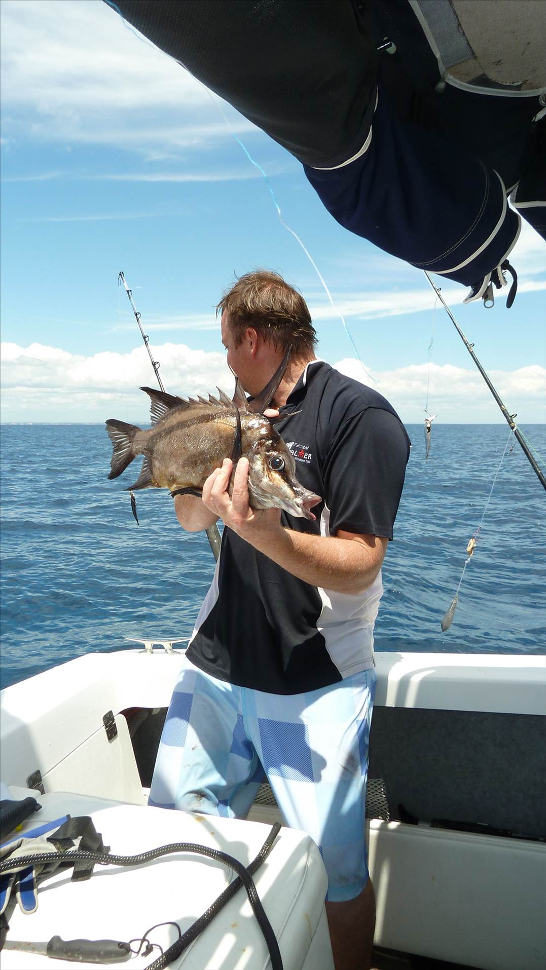 boar fish speared off mandurah 32m