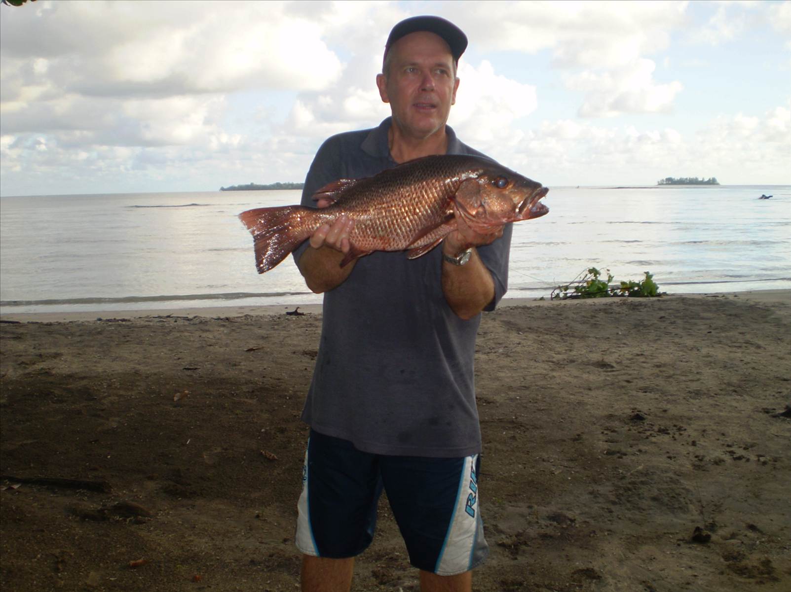 Another Komoran River Mangrove Jack