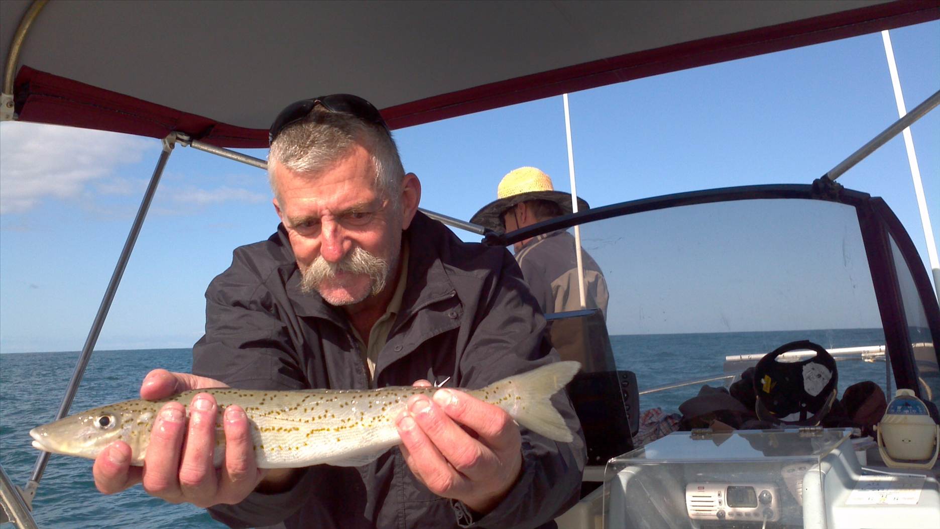 outback al in action