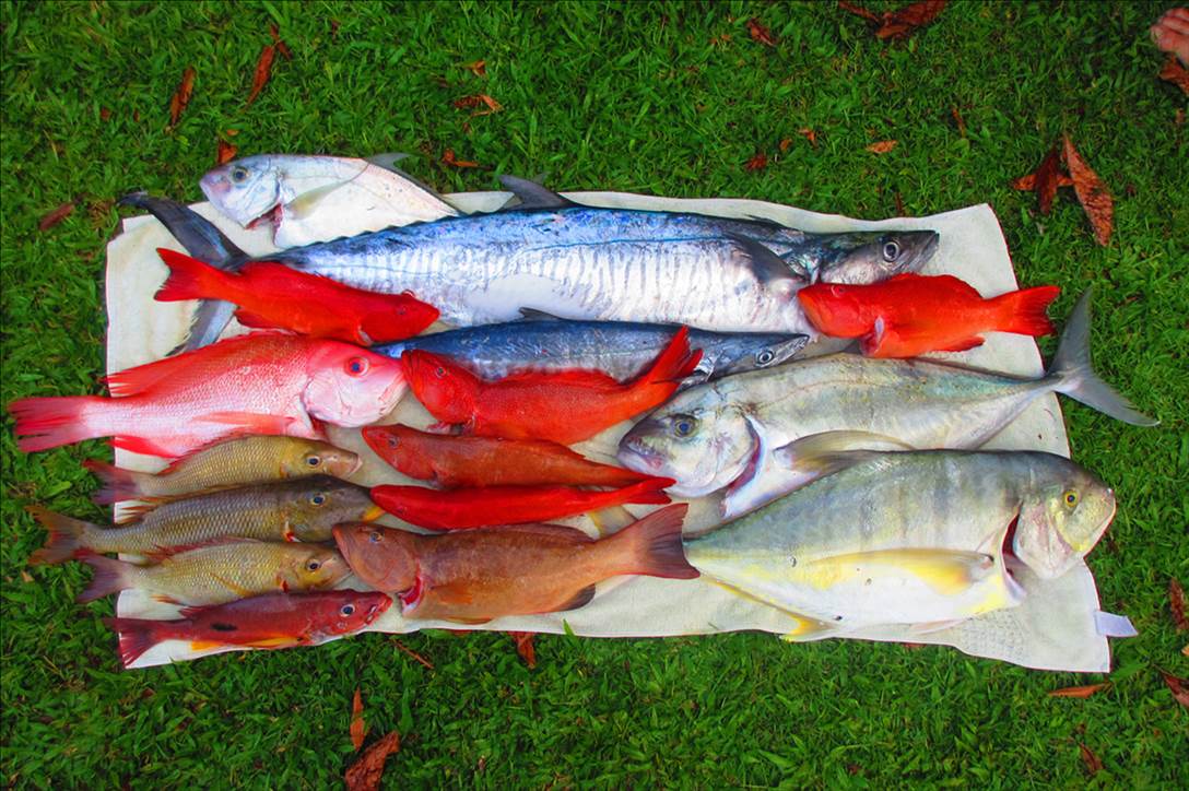 April fools day 2013