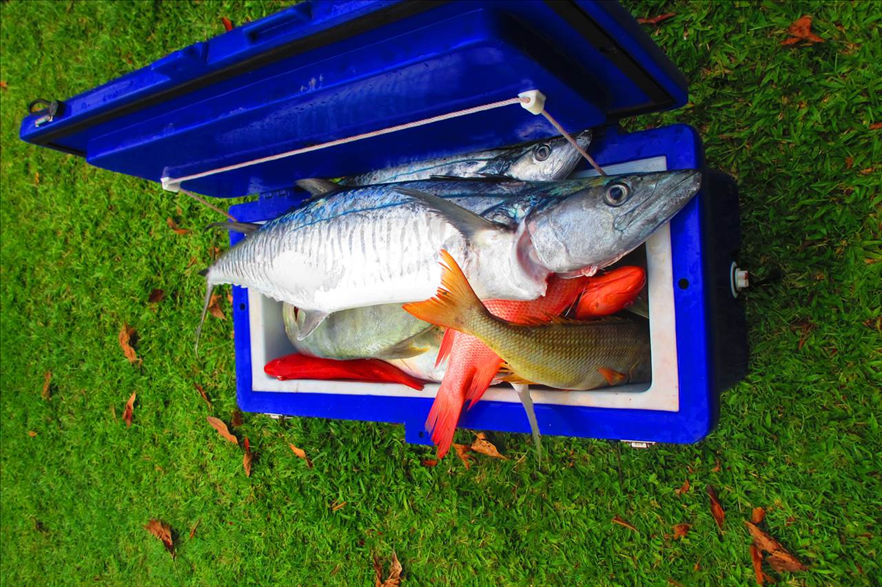 April fools day 2013