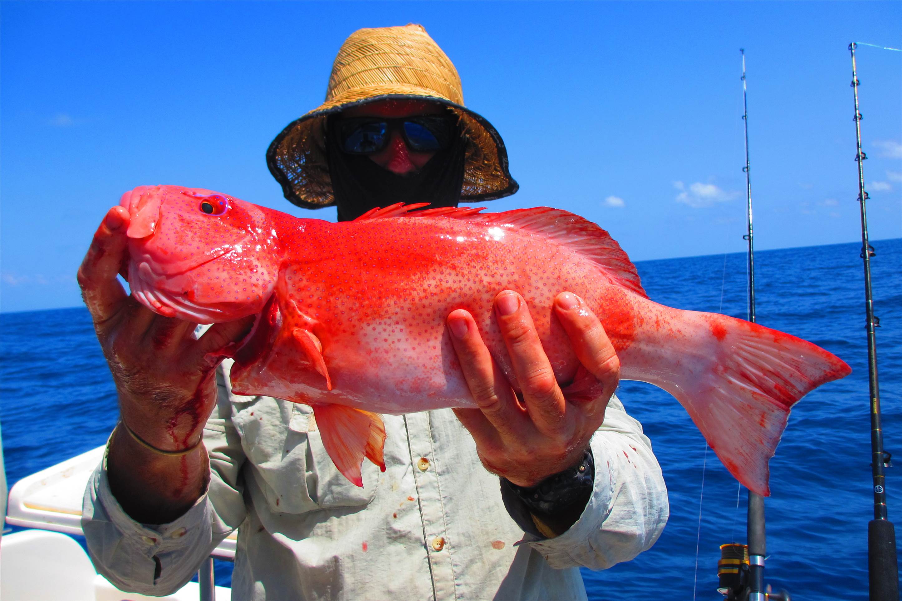 Mixed bag of goodies