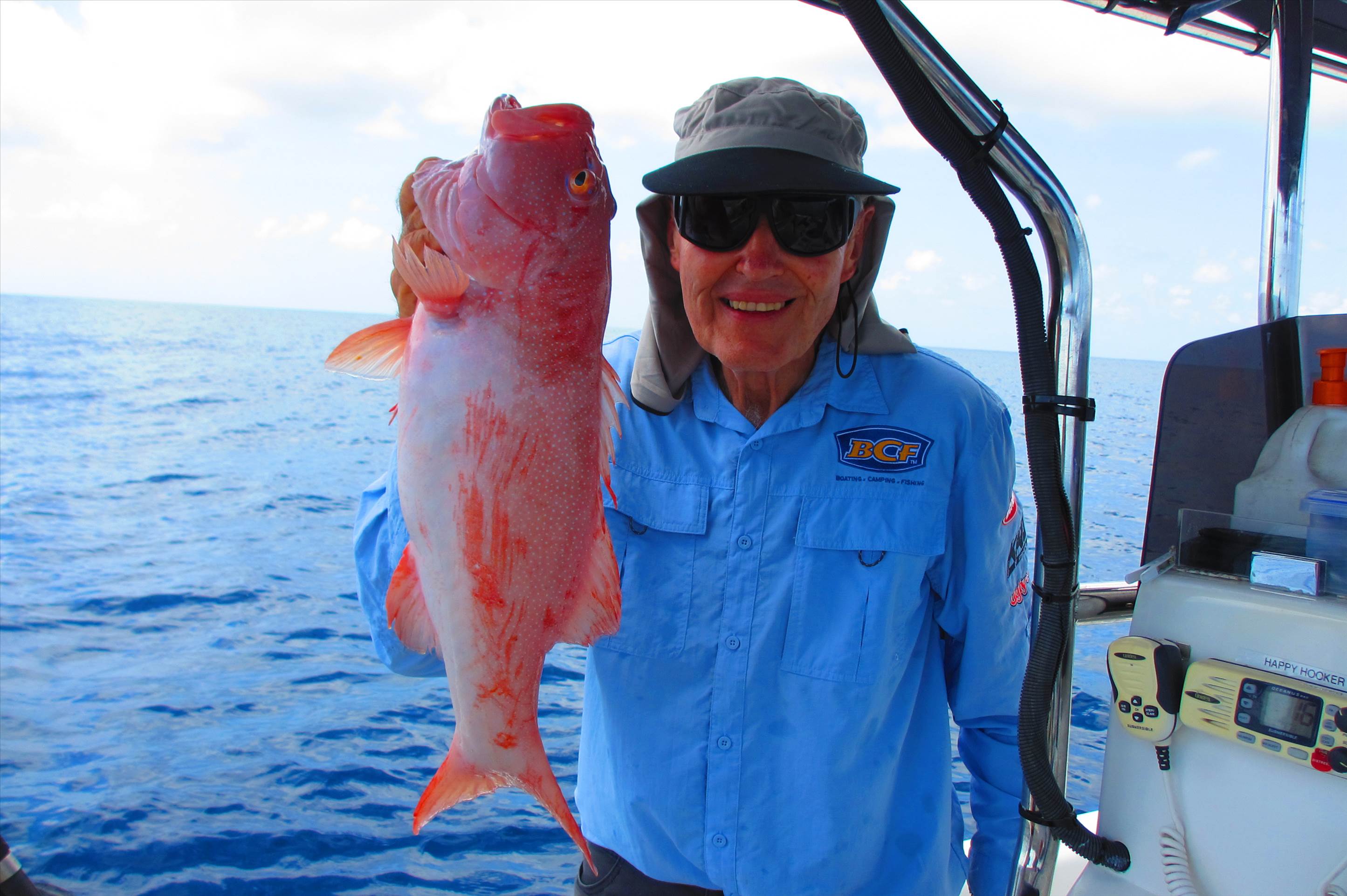 Mixed bag of goodies