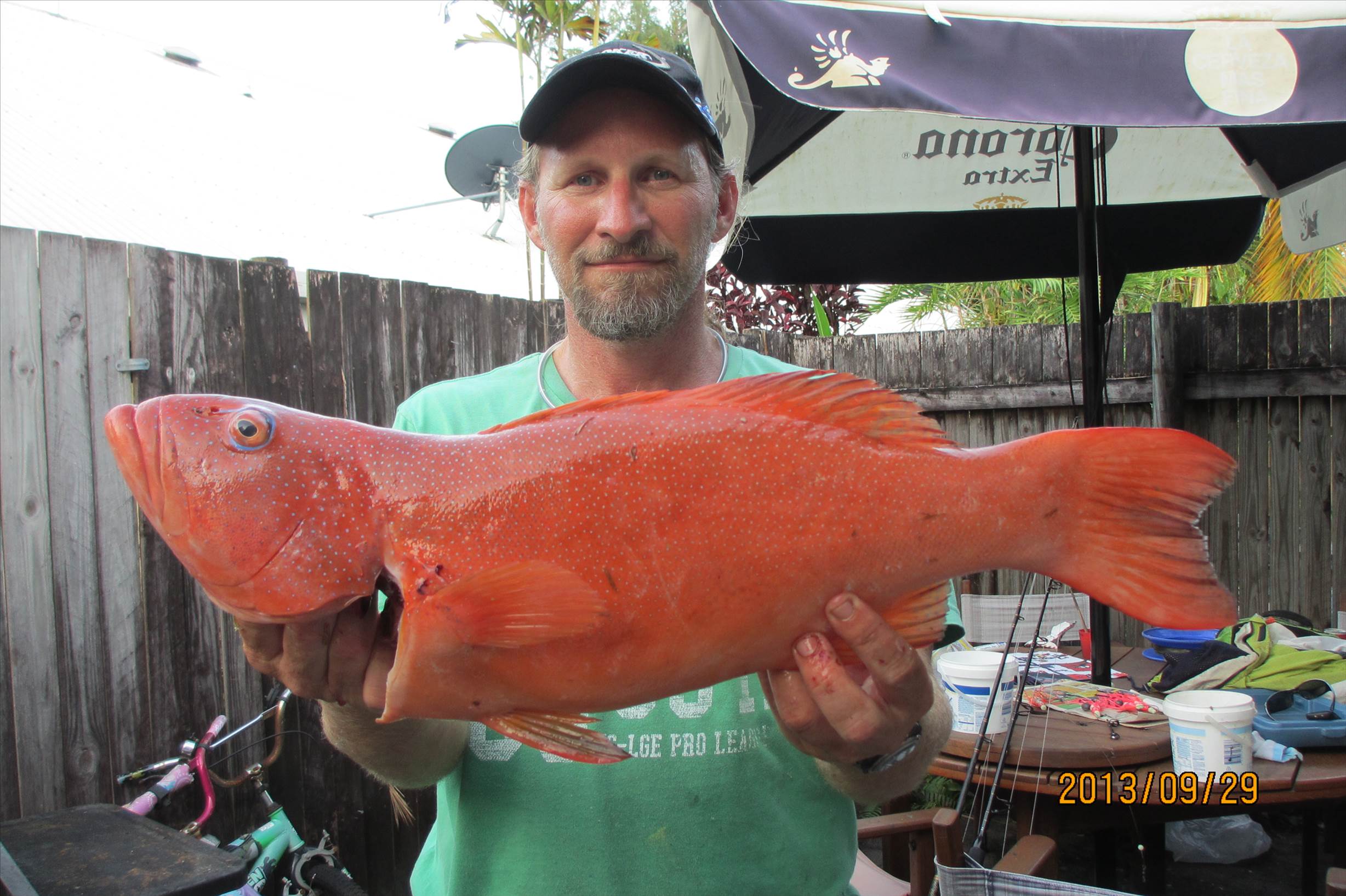 Mixed bag of goodies