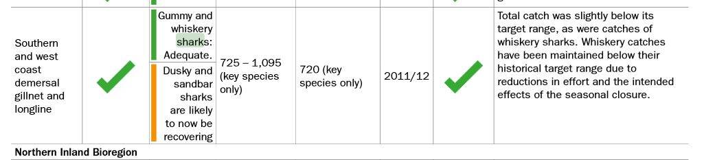 sharks tonnes caught