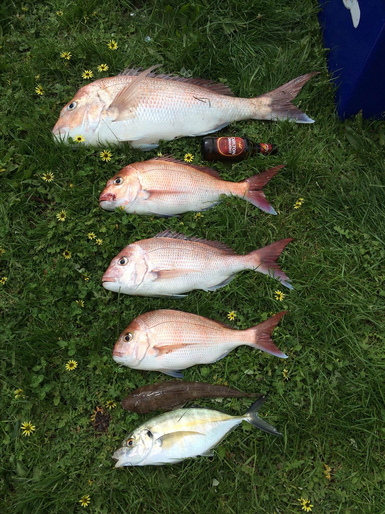 Thats getting bigger