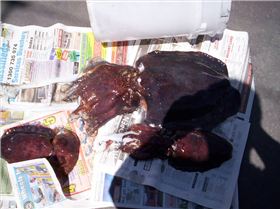 union day strike pays off