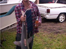 skinnys nice bronzey